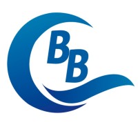 Bombas Braun S.A logo, Bombas Braun S.A contact details