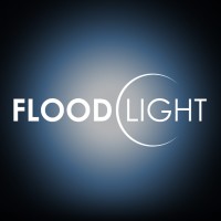 Floodlight Consulting Group logo, Floodlight Consulting Group contact details