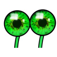 Green Eyed Monster logo, Green Eyed Monster contact details