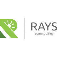 Rays Commodities (Pvt) Limited logo, Rays Commodities (Pvt) Limited contact details