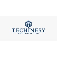 Techinesy Solutions Pvt Ltd. logo, Techinesy Solutions Pvt Ltd. contact details