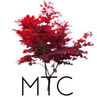 Maple Tree Capital logo, Maple Tree Capital contact details