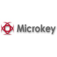 Microkey Electronic Information & Telecommunication Technologies Ltd. logo, Microkey Electronic Information & Telecommunication Technologies Ltd. contact details