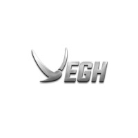 Vegh Automobiles logo, Vegh Automobiles contact details