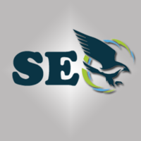 SEO Falcons logo, SEO Falcons contact details