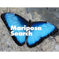 Mariposa Search logo, Mariposa Search contact details