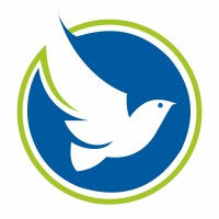 Blue Bird Solar logo, Blue Bird Solar contact details