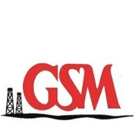 Gsm Associates Inc logo, Gsm Associates Inc contact details