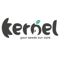 Kernel BD Corporation logo, Kernel BD Corporation contact details