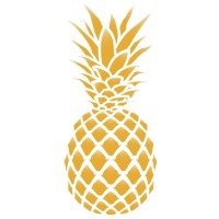 Pineapple Group FZE logo, Pineapple Group FZE contact details