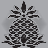 Pineapple Industries logo, Pineapple Industries contact details