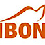 Ibon Foundation logo, Ibon Foundation contact details