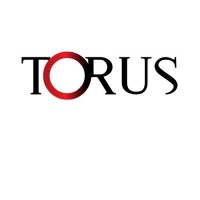 Torus Transforms logo, Torus Transforms contact details