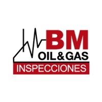 BM Inspecciones logo, BM Inspecciones contact details