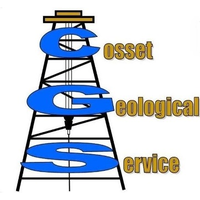 COSSET ENTERPRISE INC. logo, COSSET ENTERPRISE INC. contact details