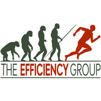 The Efficiency Group LLC logo, The Efficiency Group LLC contact details