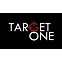 TargetOne LLC logo, TargetOne LLC contact details