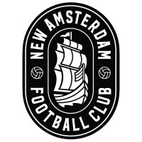 New Amsterdam Football Club logo, New Amsterdam Football Club contact details