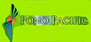 Pono Pacific logo, Pono Pacific contact details