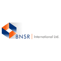 BNSR International Ltd,. logo, BNSR International Ltd,. contact details