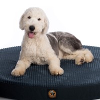 Gorilla Dog Beds logo, Gorilla Dog Beds contact details