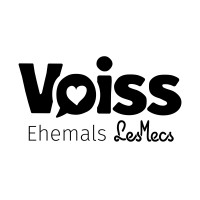 Voiss logo, Voiss contact details