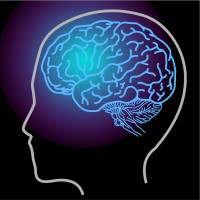 BrainMind logo, BrainMind contact details