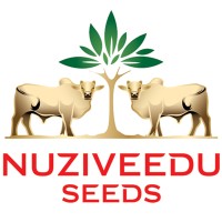 NUZIVEEDU SEEDS LIMITED logo, NUZIVEEDU SEEDS LIMITED contact details