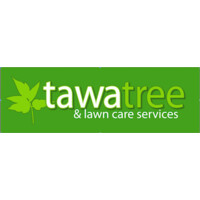 Tawa Tree & Lawn logo, Tawa Tree & Lawn contact details