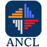 AnalyticsNow Consulting Limited logo, AnalyticsNow Consulting Limited contact details