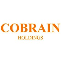 Cobrain Holdings logo, Cobrain Holdings contact details