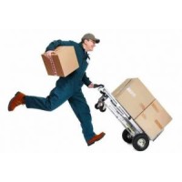 Swift Couriers logo, Swift Couriers contact details