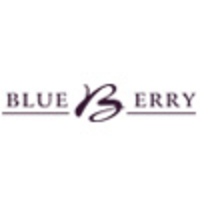 Blueberry Studio logo, Blueberry Studio contact details