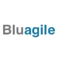 Bluagile logo, Bluagile contact details