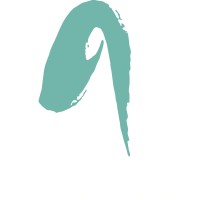 asensei logo, asensei contact details