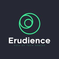 Erudience IT Agency logo, Erudience IT Agency contact details