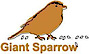 Giant Sparrow logo, Giant Sparrow contact details