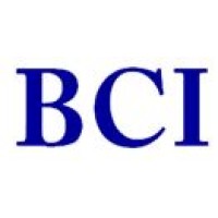 BCI Executive Search logo, BCI Executive Search contact details