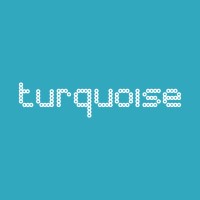 Turquoise Thinking Ltd logo, Turquoise Thinking Ltd contact details