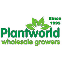 Plantworld (Pty) Ltd logo, Plantworld (Pty) Ltd contact details