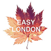 Easy London Organization logo, Easy London Organization contact details