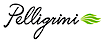 Pelligrini Solutions logo, Pelligrini Solutions contact details