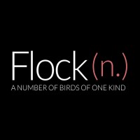 Flock DC logo, Flock DC contact details