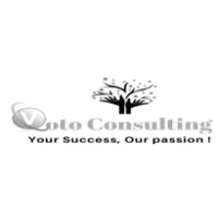 Voto Consulting LLC logo, Voto Consulting LLC contact details