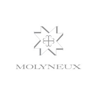 J.P. MOLYNEUX STUDIO, LTD. logo, J.P. MOLYNEUX STUDIO, LTD. contact details