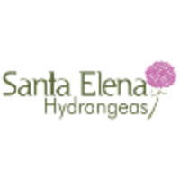 Santa Elena Hydrangeas logo, Santa Elena Hydrangeas contact details