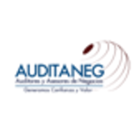 AUDITANEG - Auditores y Asesores de Negocios logo, AUDITANEG - Auditores y Asesores de Negocios contact details