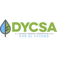 DYCSA logo, DYCSA contact details