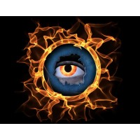 IRIS Fire Investigations, Inc. logo, IRIS Fire Investigations, Inc. contact details