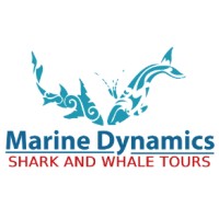 MARINE DYNAMICS TOURS logo, MARINE DYNAMICS TOURS contact details